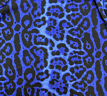 Купить Ф-2670-5-1 Атлас плотный принт