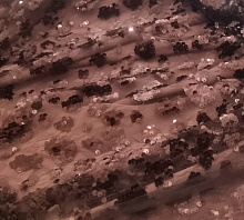 Купить Ф-2809-1-1 Кружево ПАЙЕТКИ 3Д